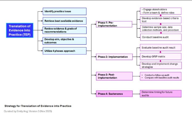NUR3506 Translation of Evidence into Practice Assessment 3 Brief 2026 | NUS